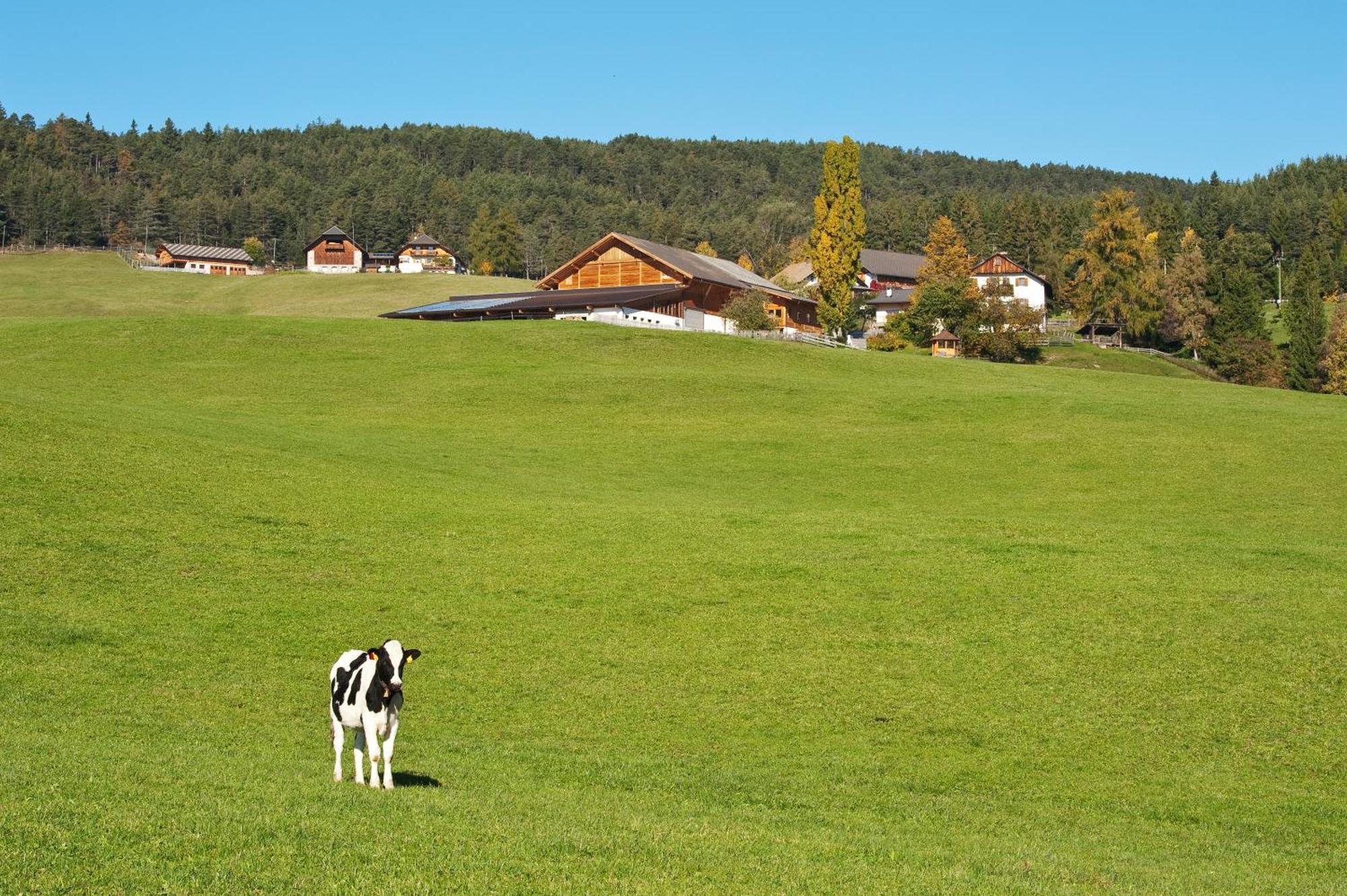 Unterpfaffstall-Hof Klobenstein Exterior foto